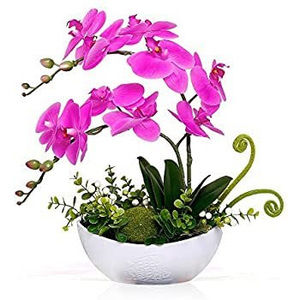 Meet your Posher, Alina